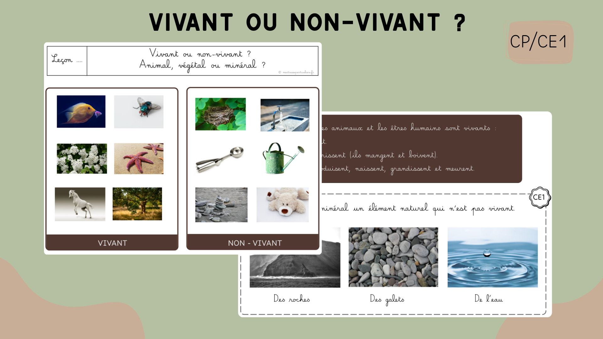 Vivant ou non-vivant